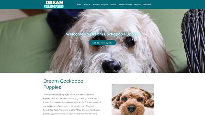 Dreamcockapoopuppies.com - Cockapoo Puppy Scam Review