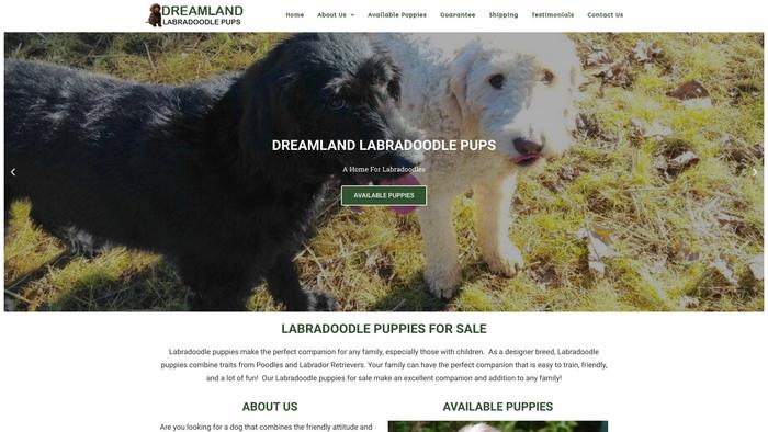 Dreamlandlabradoodlepups.com - Labradoodle Puppy Scam Review