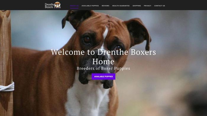 Drentheboxershome.com - Boxer Puppy Scam Review