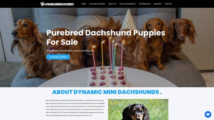 Dynamicminidachshunds.com - Dachshund Puppy Scam Review