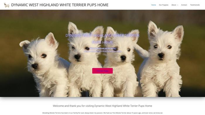 Dynamicwesthighlandwhiteterrierpupshome.com - Terrier Puppy Scam Review