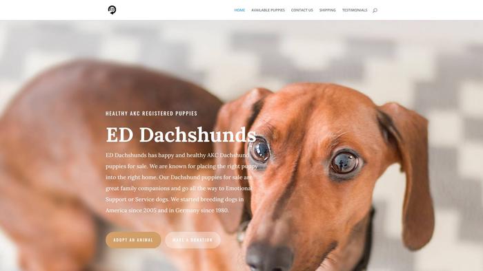 Edddachshunds.com - Dachshund Puppy Scam Review