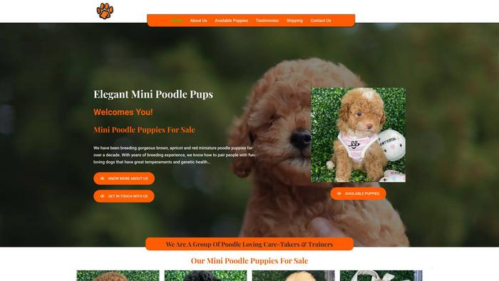 Elegantminipoodlepups.com - Poodle Puppy Scam Review