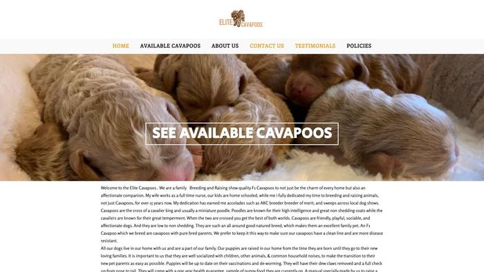 Elitecavapoos.com - Cavapoo Puppy Scam Review