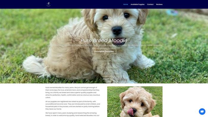 Elitefamilypets.com - Cavapoo Puppy Scam Review