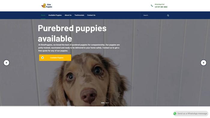 Elsiepuppieshome.com - Bassethound Puppy Scam Review