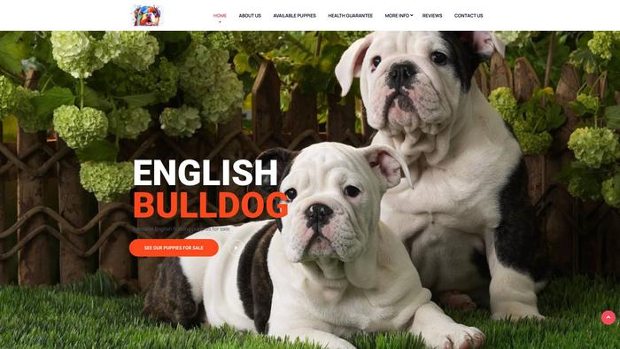 Englishbullieshome.com - English Bulldog Puppy Scam Review