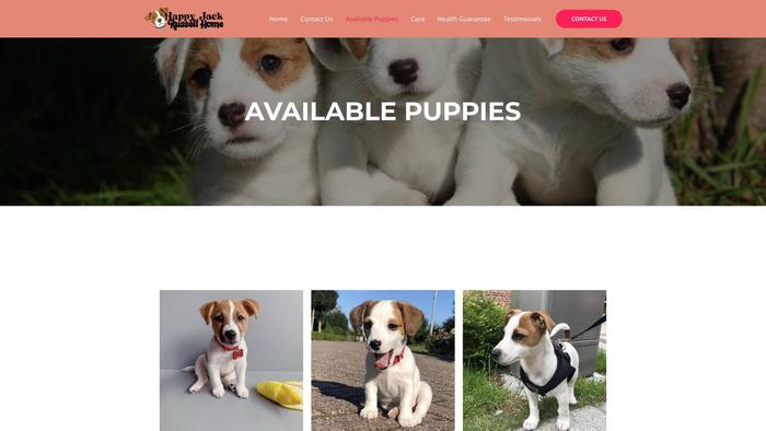 Evelynjackrussellhome.com - Jack Russell Terrier Puppy Scam Review