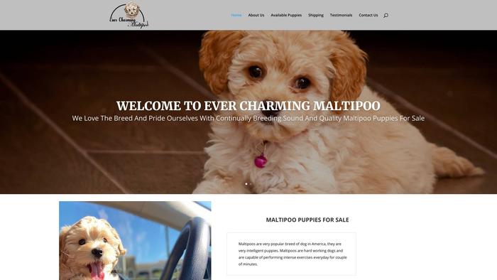 Evercharmingmaltipoo.com - Maltipoo Puppy Scam Review