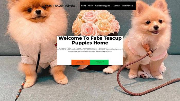 Fabstinyteacuppuppieshome.com - Yorkshire Terrier Puppy Scam Review