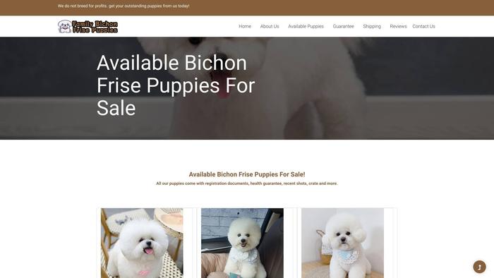 Familybichonfrisepuppies.com - Bichon Frise Puppy Scam Review