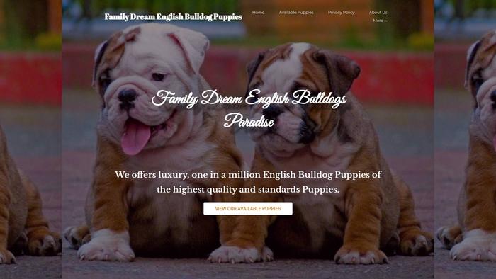 Familydreamenglishbulldogpuppies.com - English Bulldog Puppy Scam Review