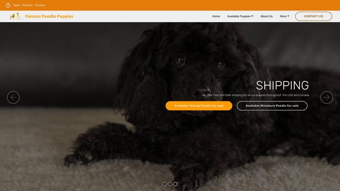 Famouspoodlepuppies.com - Poodle Puppy Scam Review