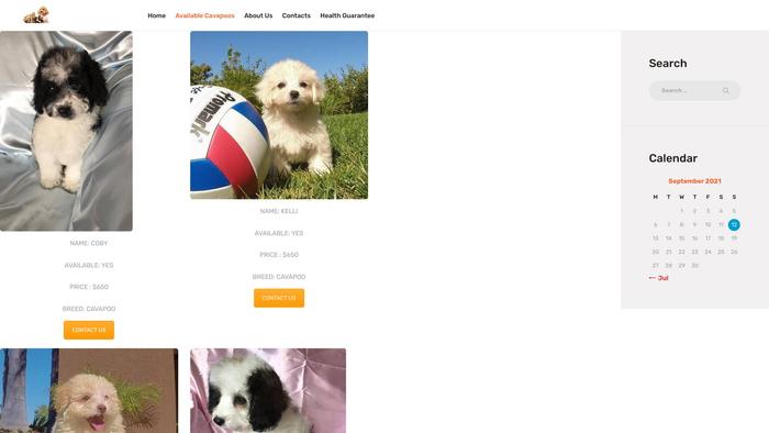 Findcavapoopuppies.com - Cavapoo Puppy Scam Review