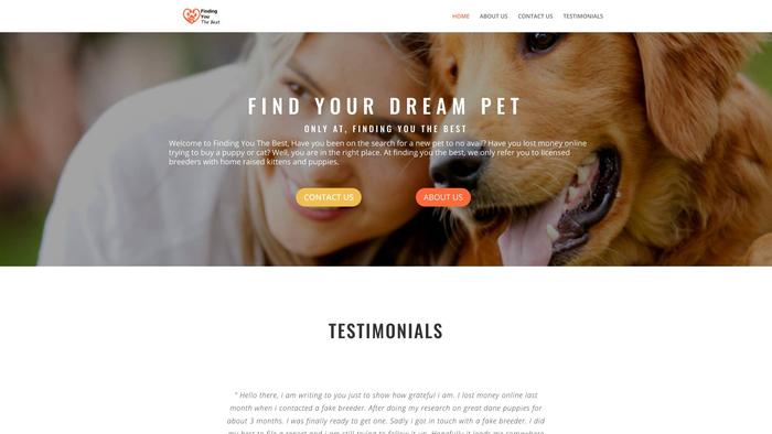 Findingyouthebest.com - Chowchow Puppy Scam Review