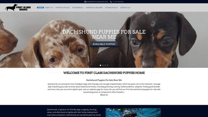 Firstclassdoxies.com - Dachshund Puppy Scam Review