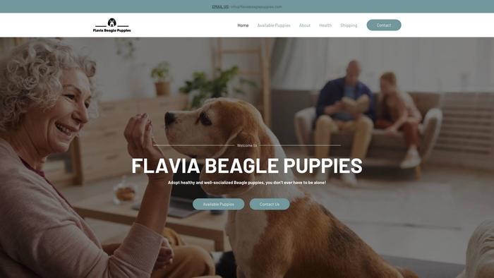 Flaviabeaglepuppies.com - Beagle Puppy Scam Review