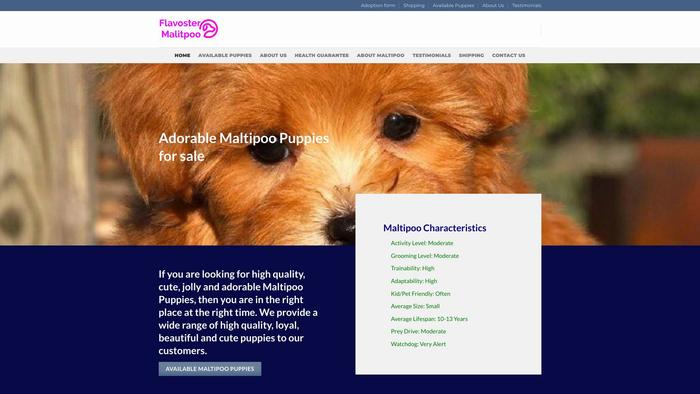 Flavostermaltipoo.com - Maltipoo Puppy Scam Review