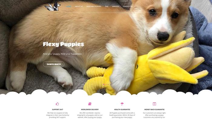 Flexypuppies.com - Corgi Puppy Scam Review