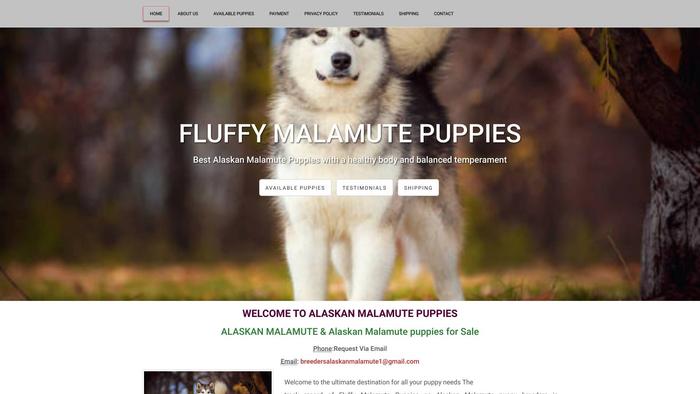 Fluffymalamutepuppies.com - Malamute Puppy Scam Review