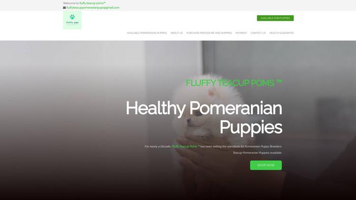 Fluffyteacuppomeranianpuppies.com - Pomeranian Puppy Scam Review