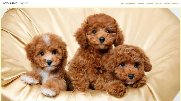 Formidablepoodles.com - Poodle Puppy Scam Review