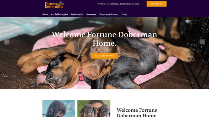 Fortunedobermanhome.com - Doberman Pinscher Puppy Scam Review