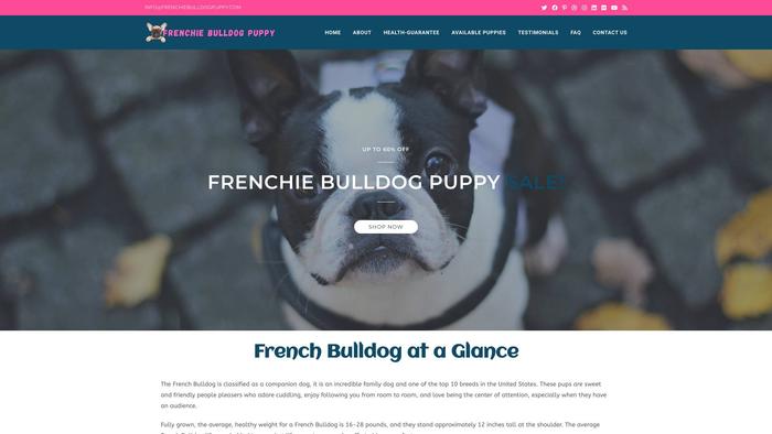 Frenchiebulldogpuppy.com - French Bulldog Puppy Scam Review