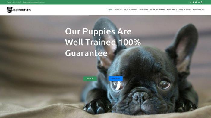 Frenchiepuppsforsale.com - French Bulldog Puppy Scam Review