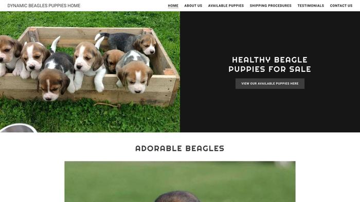 Friendlybeaglepuppies.com - Beagle Puppy Scam Review