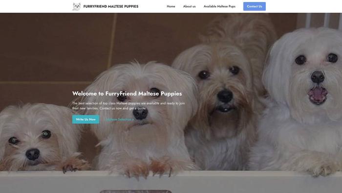 Furryfriendmaltesepuppies.com - Maltese Puppy Scam Review