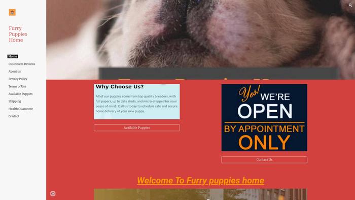 Furrypuppieshome.net - French Bulldog Puppy Scam Review