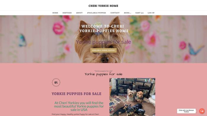 Getcheriyokiepuppies.com - Yorkshire Terrier Puppy Scam Review