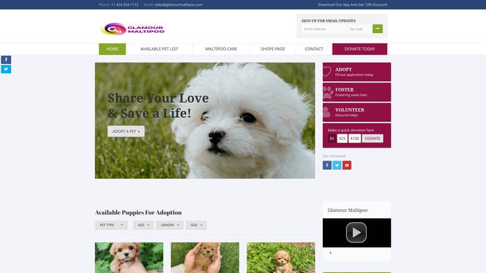 Glamourmaltipoo.com - Maltipoo Puppy Scam Review