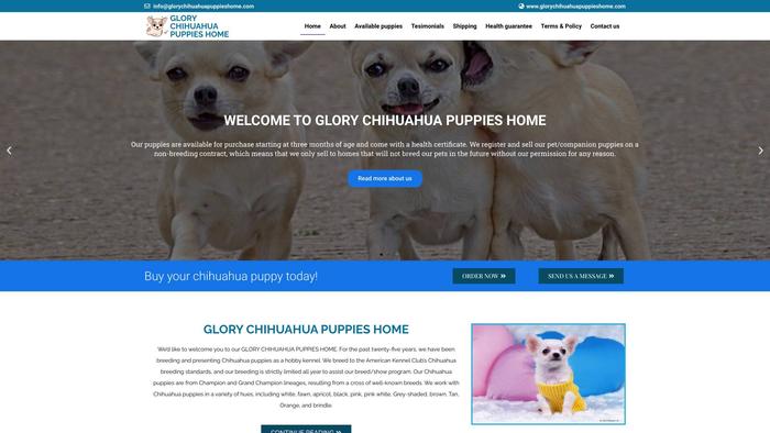 Glorychihuahuapuppieshome.com - Chihuahua Puppy Scam Review