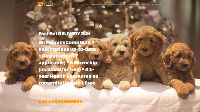 Goldendoodlehoouse.com - Golden Doodle Puppy Scam Review