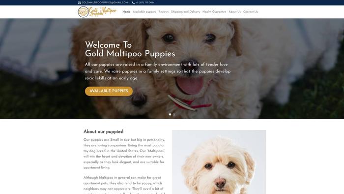 Goldmaltipoopuppies.com - Maltipoo Puppy Scam Review