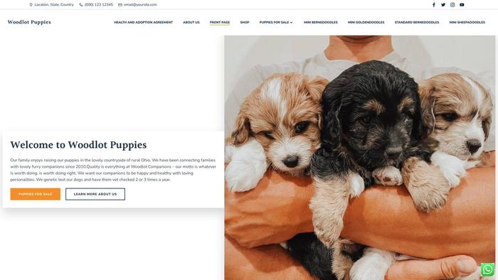 Goodoodles.store - Labradoodle Puppy Scam Review