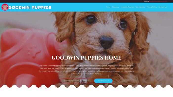 Goodwinpuppies.com - Cavapoo Puppy Scam Review