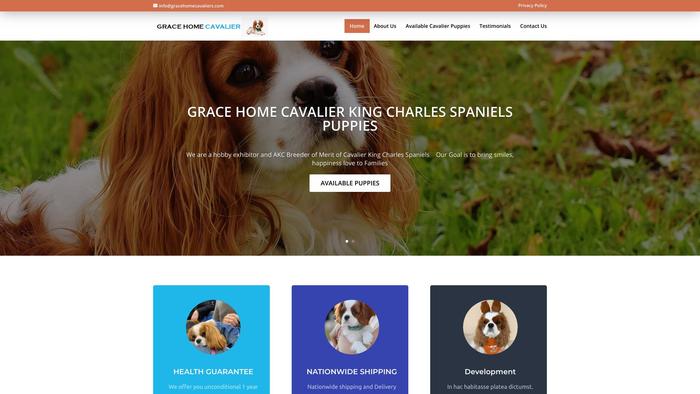 Gracehomecavaliers.com - Cavalier King Charles Spaniel Puppy Scam Review