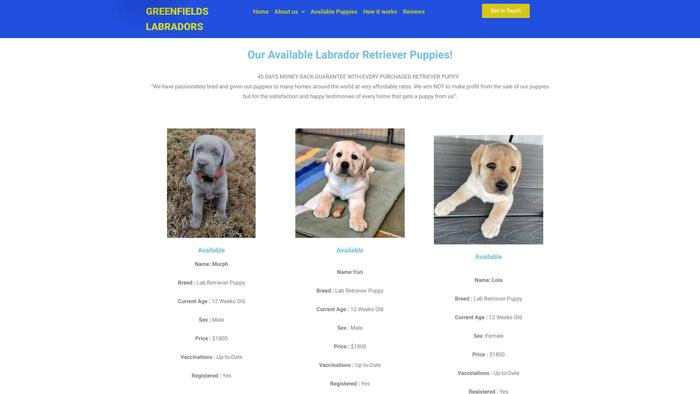 Greenfieldslabradors.com - Labrador Puppy Scam Review