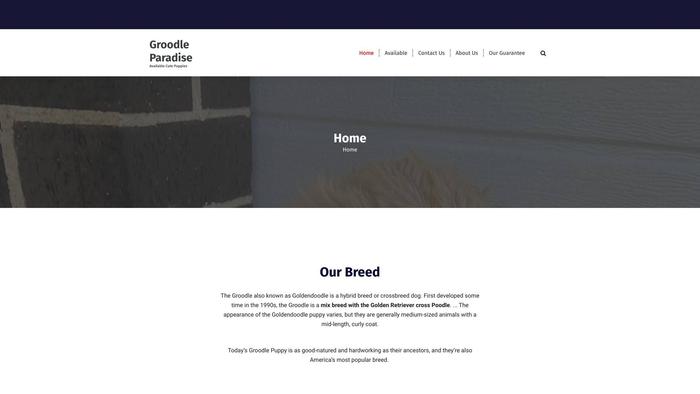 Groodleparadise.com - Golden Doodle Puppy Scam Review