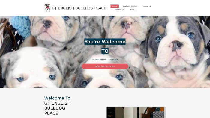 Gtenglishbulldoghplace.com - English Bulldog Puppy Scam Review