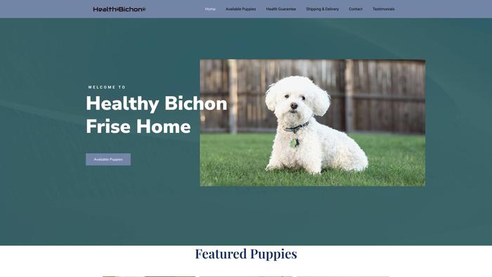 Healthybichonpups.com - Bichon Frise Puppy Scam Review