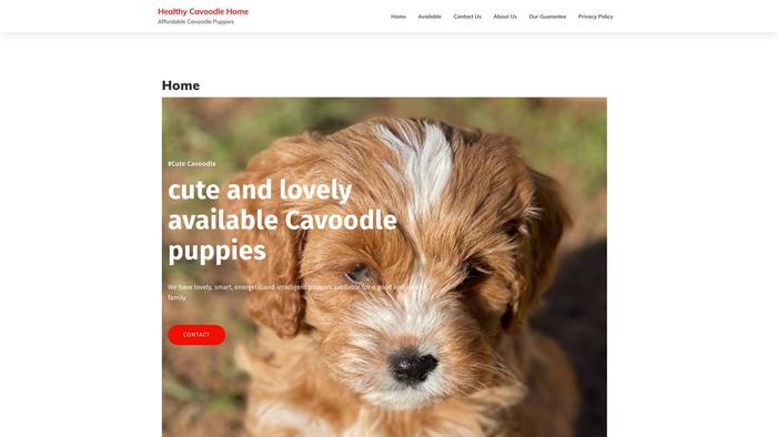 Healthycavoodlehome.com - Cavapoo Puppy Scam Review