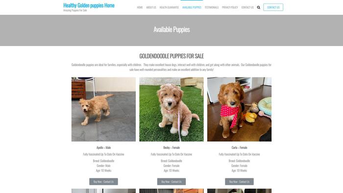 Healthygoldenpuppieshome.com - Golden Retriever Puppy Scam Review