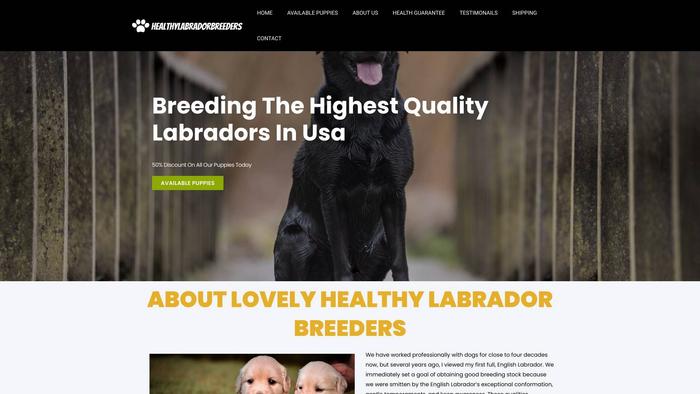 Healthylabradorbreeders.com - Labrador Puppy Scam Review