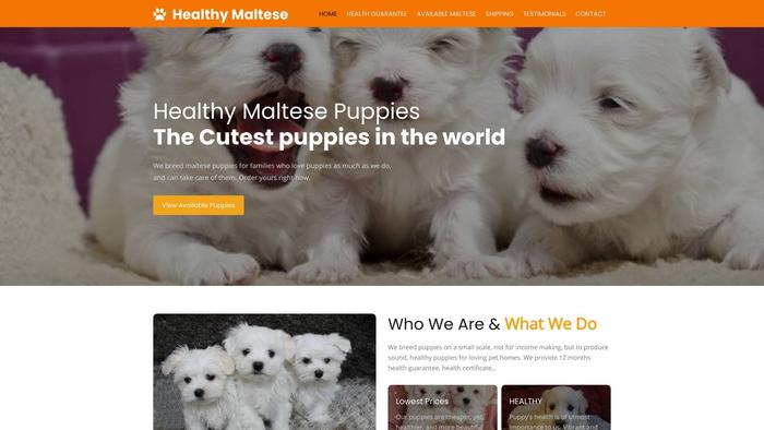 Healthymaltese.com - Maltese Puppy Scam Review