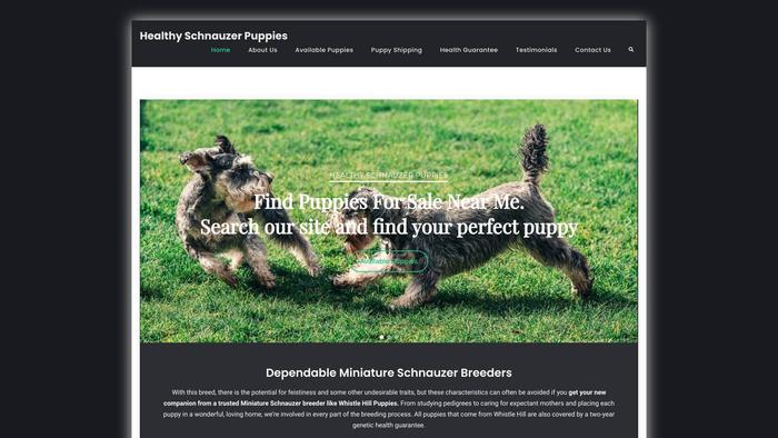 Healthyschnauzerpuppies.com - Schnauzer Puppy Scam Review