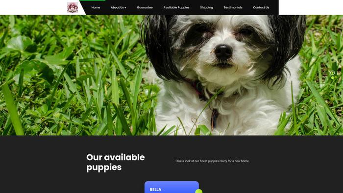 Healthyshihtzupups.com - Shihtzu Puppy Scam Review